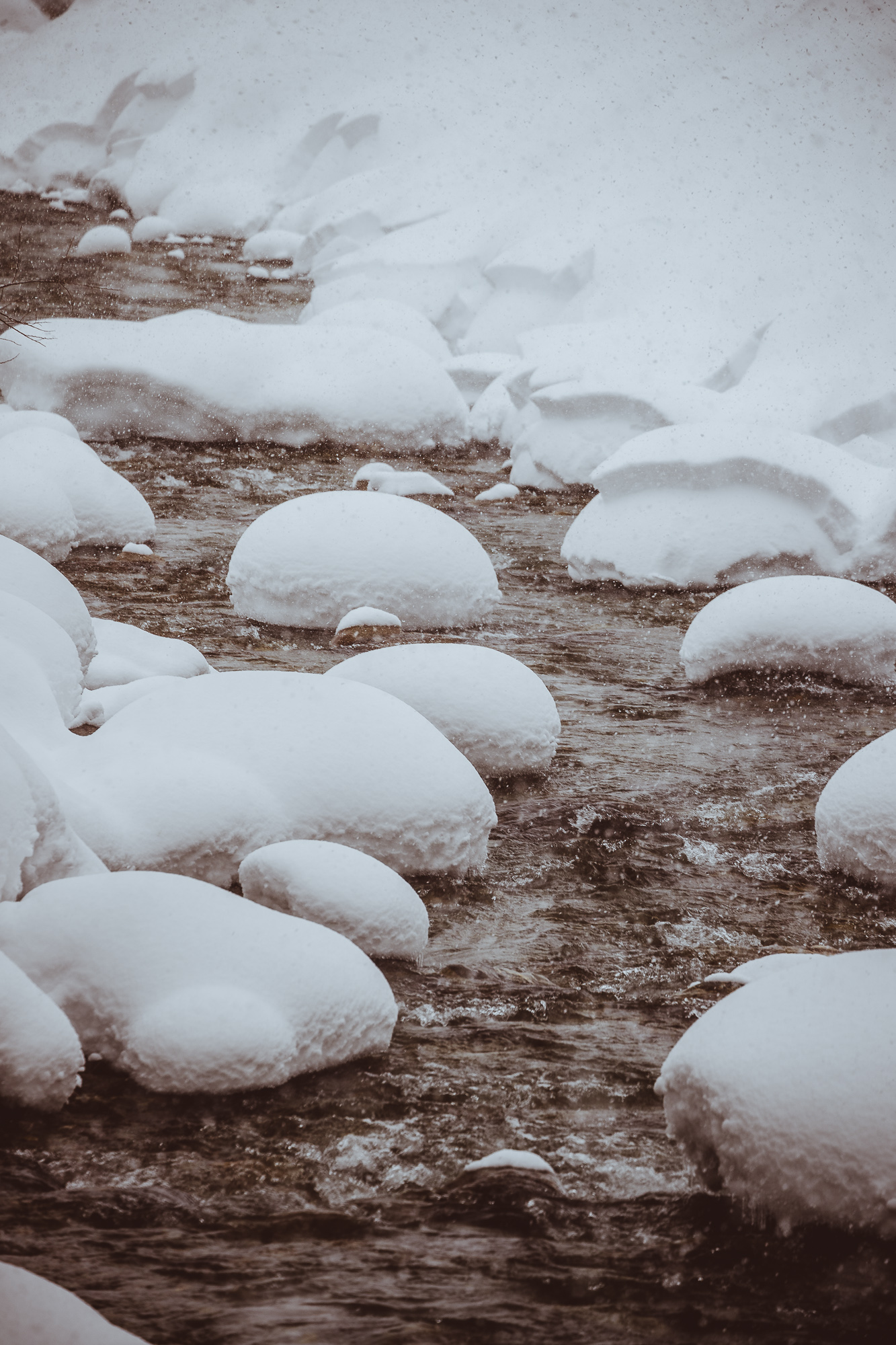 Export x3 1DX29391 Verlobungsfotoshooting 2018 Anna & Dominik
